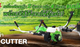 เครื่องตัดหญ้า 2 จังหวะ หรือ 4 จังหวะ แบบไหนดี? พร้อมวิธีการใช้งานให้คุ้มค่า