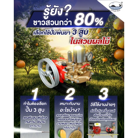 ปั๊มพ่นยาสามสูบ WHALE BEST LS-22C ขนาดท่อ 3/4 (6หุน) ระบบธรรมดา (เฉพาะตัว) ปั๊มพ่นยาสามสูบ WHALE BEST LS-22C ขนาดท่อ 3/4 (6หุน) ระบบธรรมดา (เฉพาะตัว)