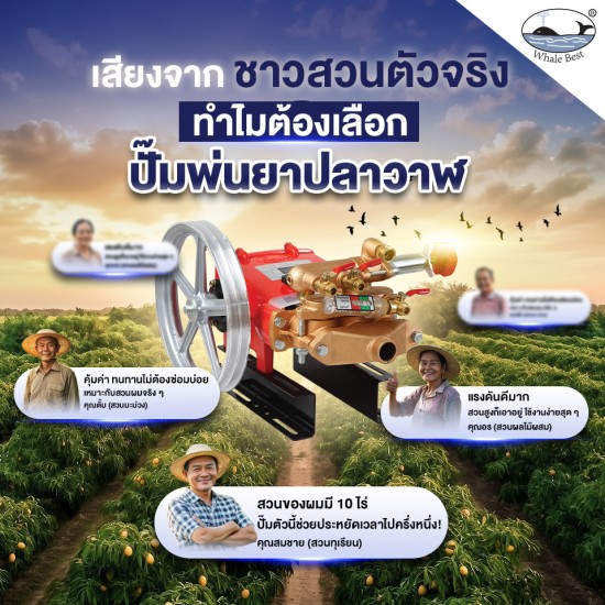 ปั๊มพ่นยาสามสูบ รุ่น LS-26C ขนาดท่อ 3/4 (6หุน) ระบบอัตโนมัติ (เฉพาะตัว) ปั๊มพ่นยาสามสูบ รุ่น LS-26C ขนาดท่อ 3/4 (6หุน) ระบบอัตโนมัติ (เฉพาะตัว)
