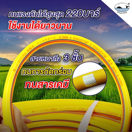 สายพ่นยานอก 100 เมตร WHALE 5/16" 8.5 mm. สายพ่นยานอก 100 เมตร WHALE 5/16" 8.5 mm.